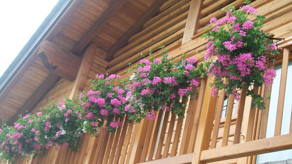 Gresil Residence Champoluc Ngoại thất bức ảnh